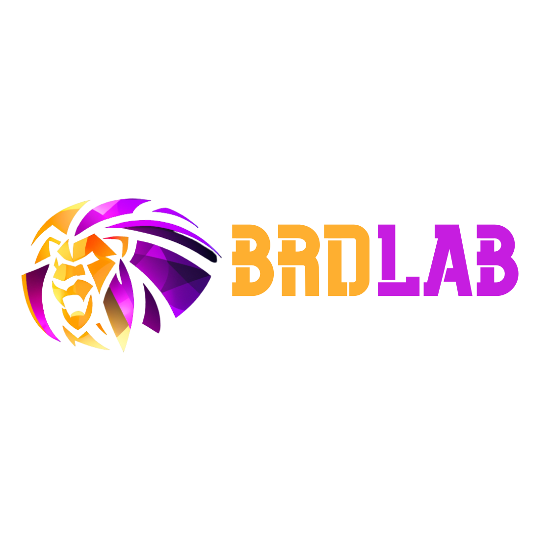 BRDLab Logo